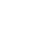 CCSEM